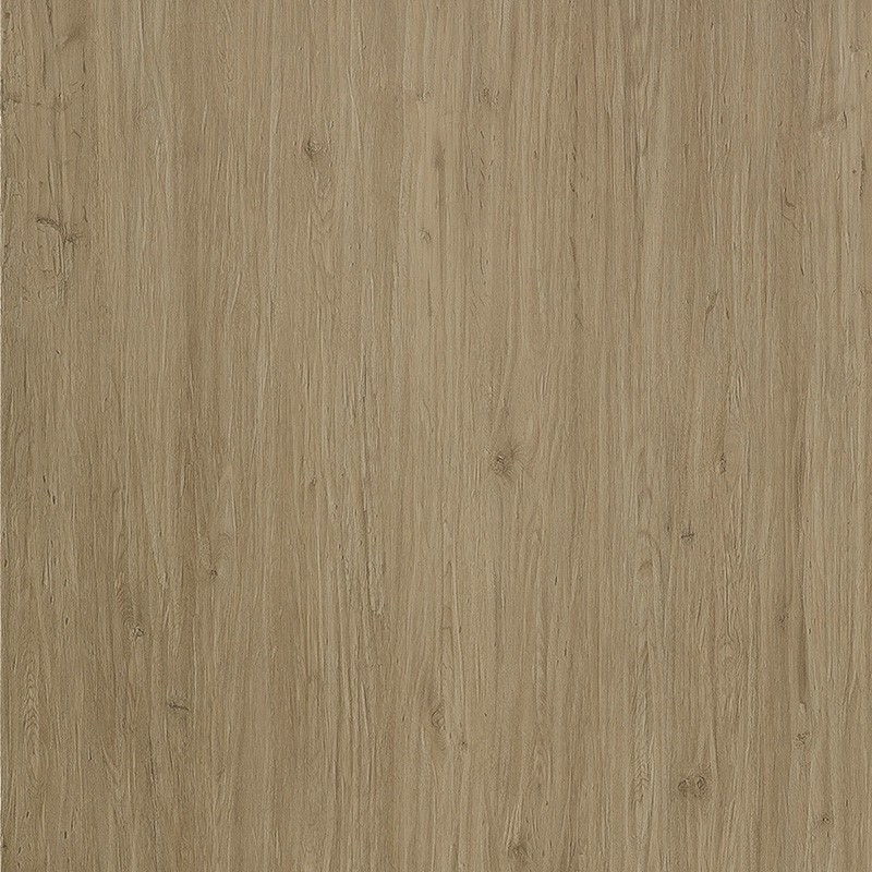 7382 古羅馬橡木